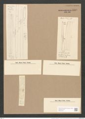 Synedra affinis var. tabulata (Ag.) V. H. (de-Toni-Nr.: Genus 66, Species 2607) Zeichnungen Sammlung Grunow Nr. 5339 (NHMW-BOT-W0373743)